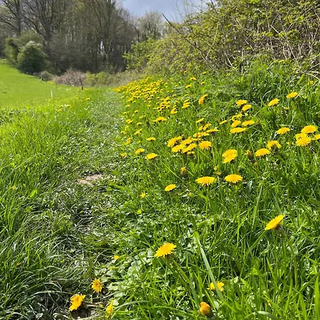 Rinkenaeshus D Holiday home